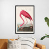 "Pink Flamingo from Birds of America", John James Audubon