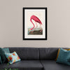 "Pink Flamingo from Birds of America", John James Audubon