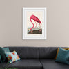 "Pink Flamingo from Birds of America", John James Audubon