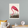 "Pink Flamingo from Birds of America", John James Audubon