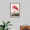 "Pink Flamingo from Birds of America", John James Audubon