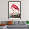 "Pink Flamingo from Birds of America", John James Audubon