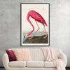 "Pink Flamingo from Birds of America", John James Audubon