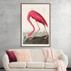 "Pink Flamingo from Birds of America", John James Audubon