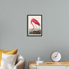 "Pink Flamingo from Birds of America", John James Audubon