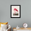 "Pink Flamingo from Birds of America", John James Audubon