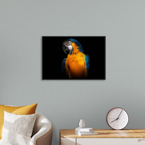 "Tropicana Macaw Parrot"