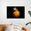 "Tropicana Macaw Parrot"