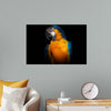 "Tropicana Macaw Parrot"