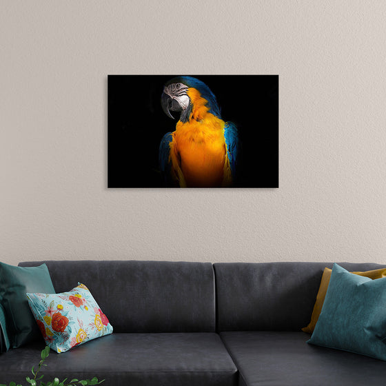 "Tropicana Macaw Parrot"