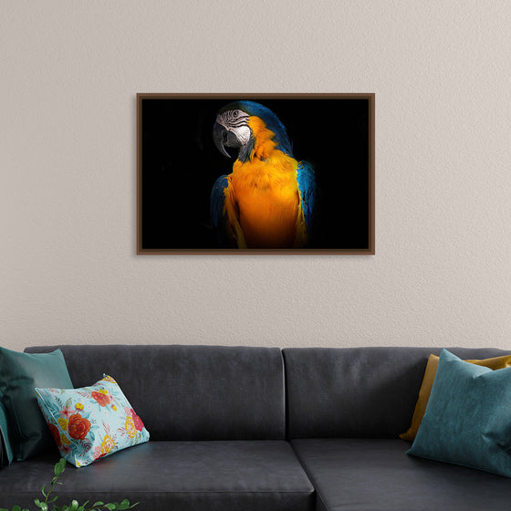 "Tropicana Macaw Parrot"