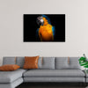 "Tropicana Macaw Parrot"