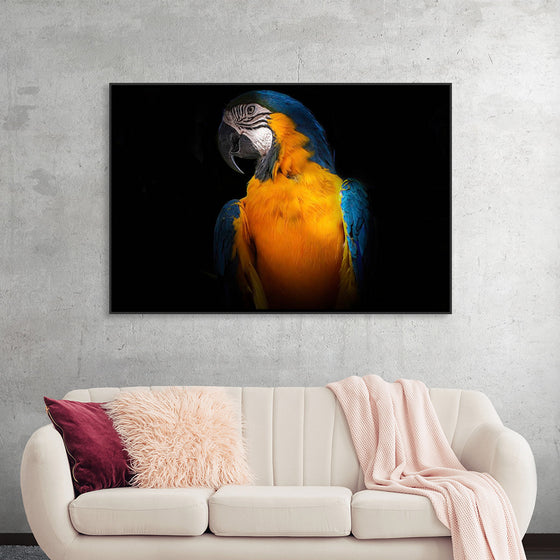 "Tropicana Macaw Parrot"