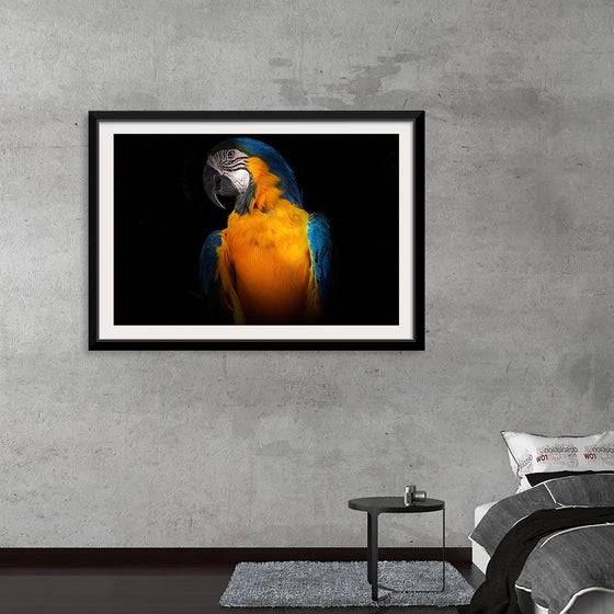 "Tropicana Macaw Parrot"