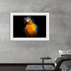 "Tropicana Macaw Parrot"