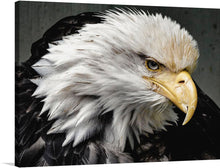  Immerse yourself in the majestic beauty of “Majestic Bald Eagle,” a limited-edition print capturing the intense gaze and regal profile of a bald eagle. Every intricate feather, the piercing eyes, and the powerful beak are rendered with exquisite detail, bringing this iconic symbol of freedom and power to life. 