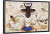 "Insects and the Head of a Wind God", Joris Hoefnagel