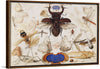 "Insects and the Head of a Wind God", Joris Hoefnagel