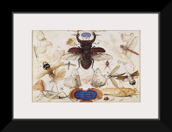 "Insects and the Head of a Wind God", Joris Hoefnagel