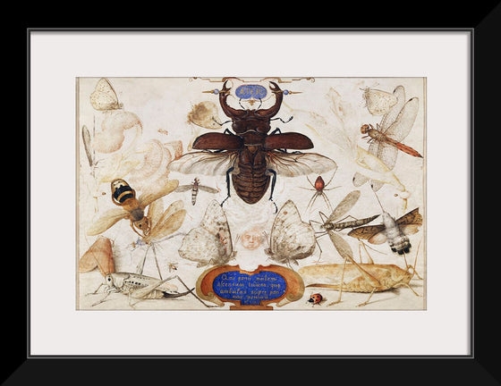 "Insects and the Head of a Wind God", Joris Hoefnagel