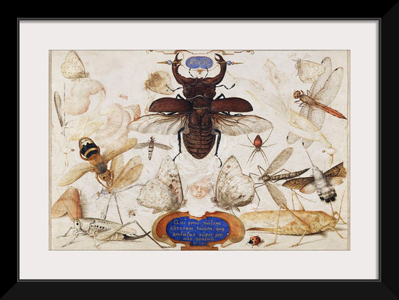 "Insects and the Head of a Wind God", Joris Hoefnagel