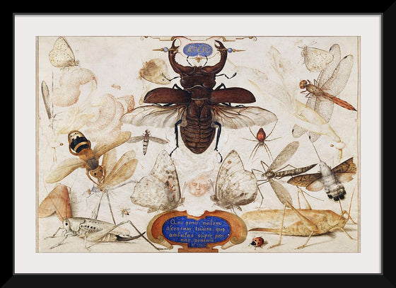 "Insects and the Head of a Wind God", Joris Hoefnagel