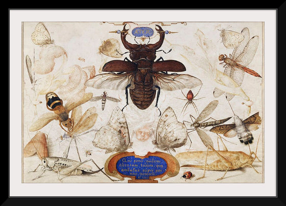 "Insects and the Head of a Wind God", Joris Hoefnagel