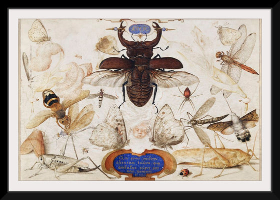 "Insects and the Head of a Wind God", Joris Hoefnagel