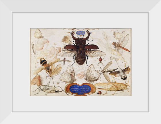 "Insects and the Head of a Wind God", Joris Hoefnagel