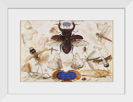 "Insects and the Head of a Wind God", Joris Hoefnagel