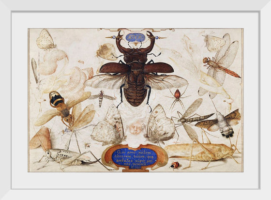 "Insects and the Head of a Wind God", Joris Hoefnagel