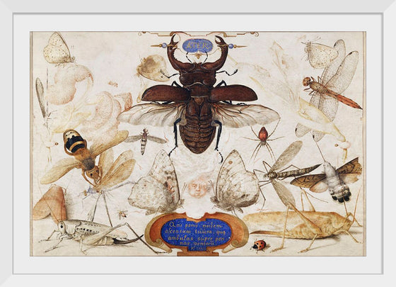 "Insects and the Head of a Wind God", Joris Hoefnagel