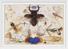 "Insects and the Head of a Wind God", Joris Hoefnagel