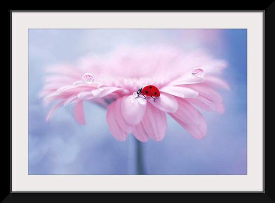 "Ladybug on Pink Flower"