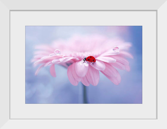 "Ladybug on Pink Flower"