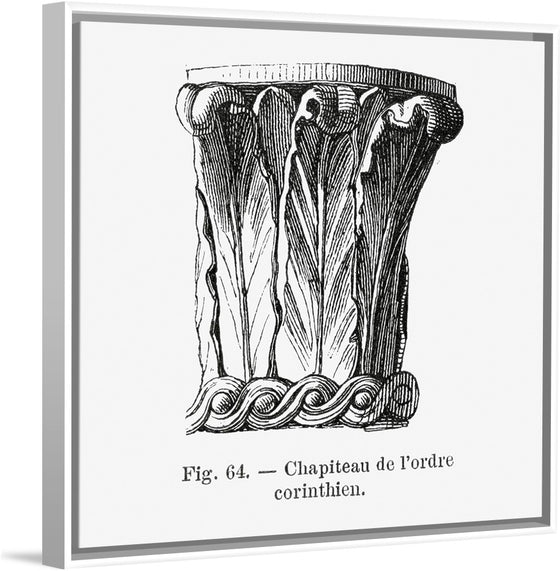 "Les Palmiers Histoire Iconographique (1878)", Oswald de Kerchove de Denterghem
