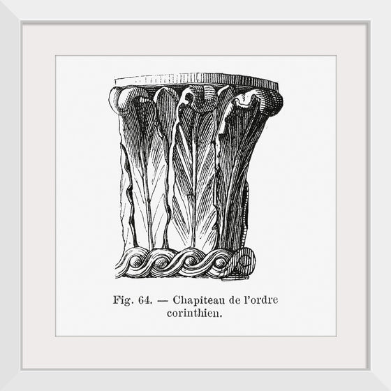"Les Palmiers Histoire Iconographique (1878)", Oswald de Kerchove de Denterghem