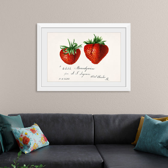 "Strawberries (Fragaria) (1840–1911)", Deborah Griscom Passmore