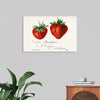 "Strawberries (Fragaria) (1840–1911)", Deborah Griscom Passmore