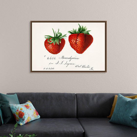 "Strawberries (Fragaria) (1840–1911)", Deborah Griscom Passmore