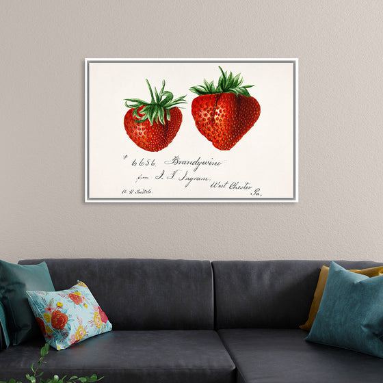 "Strawberries (Fragaria) (1840–1911)", Deborah Griscom Passmore