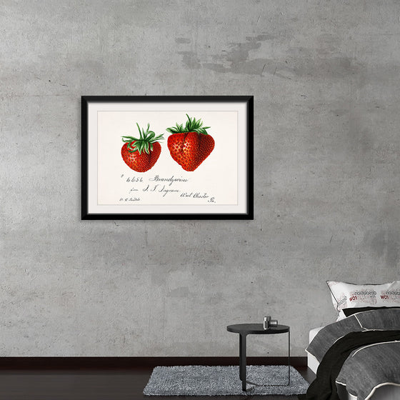 "Strawberries (Fragaria) (1840–1911)", Deborah Griscom Passmore