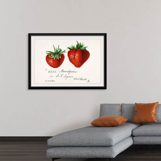 "Strawberries (Fragaria) (1840–1911)", Deborah Griscom Passmore