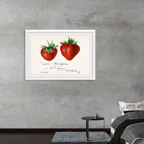 "Strawberries (Fragaria) (1840–1911)", Deborah Griscom Passmore