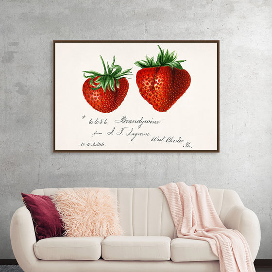 "Strawberries (Fragaria) (1840–1911)", Deborah Griscom Passmore