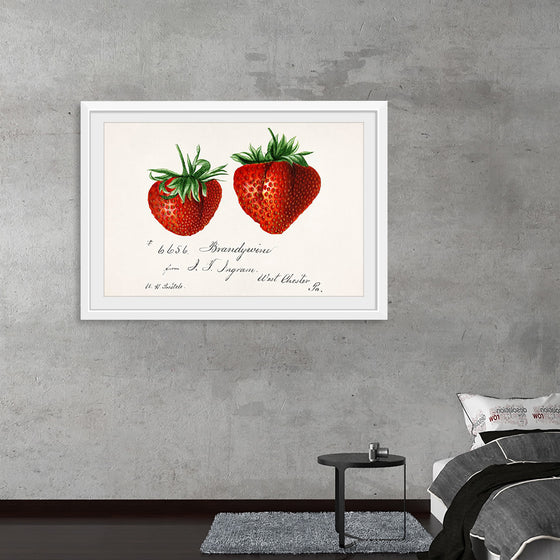 "Strawberries (Fragaria) (1840–1911)", Deborah Griscom Passmore