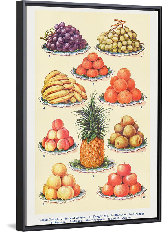 "Dessert Fruit From Mrs. Beetons Book of Household Management Part 2"