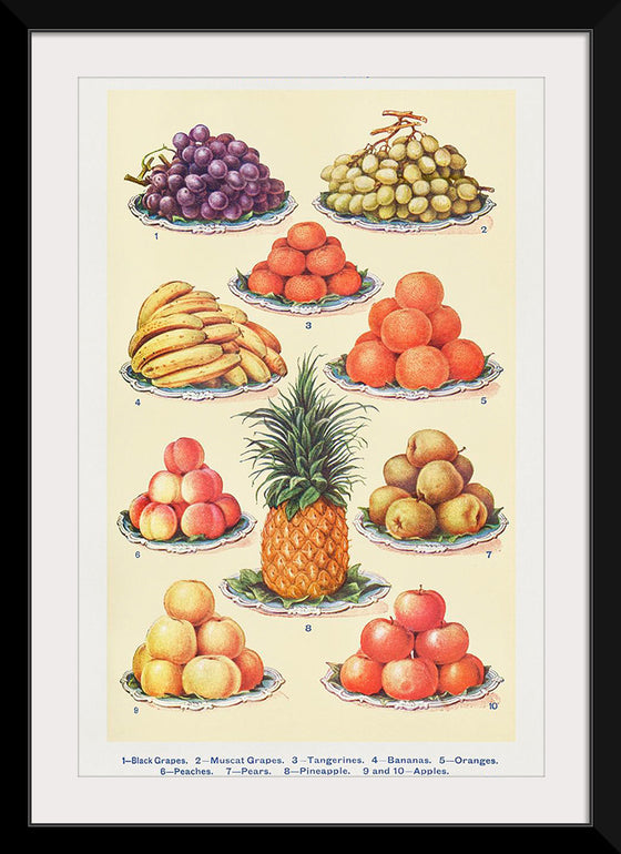 "Dessert Fruit From Mrs. Beetons Book of Household Management Part 2"