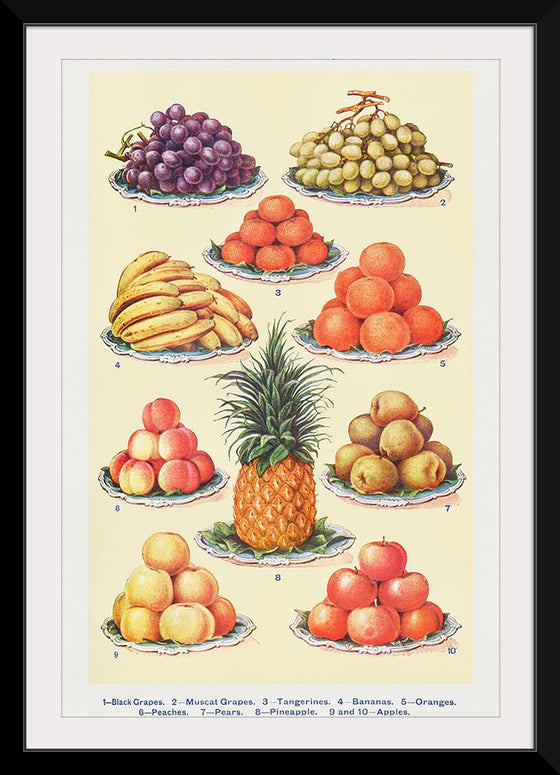 "Dessert Fruit From Mrs. Beetons Book of Household Management Part 2"