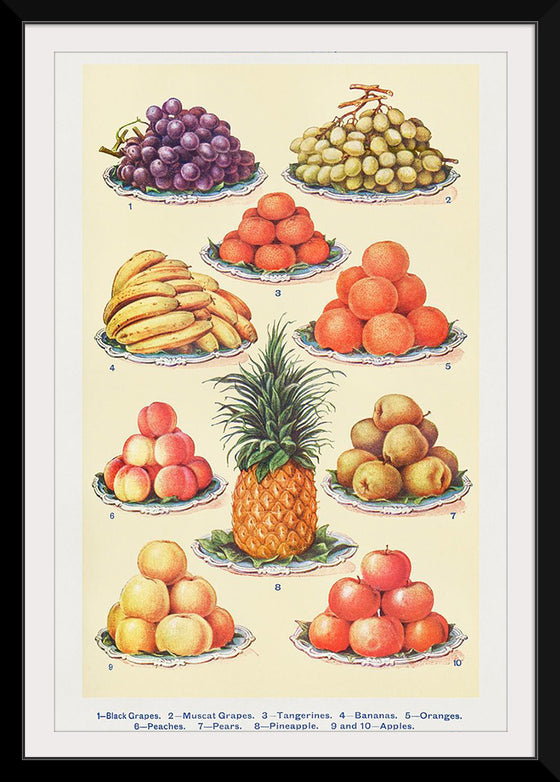 "Dessert Fruit From Mrs. Beetons Book of Household Management Part 2"